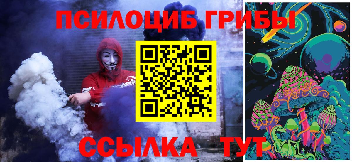 Псилоцибиновые грибы MAGIC MUSHROOMS  где продают наркотики  Партизанск  Вход с VPN  Псилоцибиновые грибы GOLDEN TEACHER 